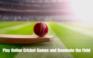 PLAY ONLINE CRICKET GAMES